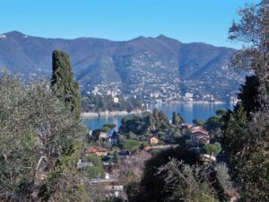 1.-.-.-.-.---------------.-..