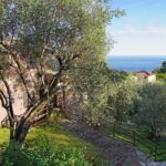 aa......---........ultimo.................