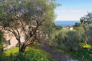 aa......---........ultimo.................